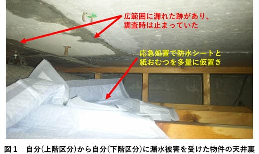 図１　自分(上階区分)から自分(下階区分)に漏水被害を受けた物件の天井裏