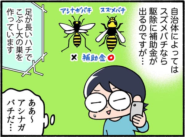 「足が長いハチでこぶし大の巣を作ってます」自治体によってはスズメバチなら駆除に補助金が出るのですが...アシナガバチだ...