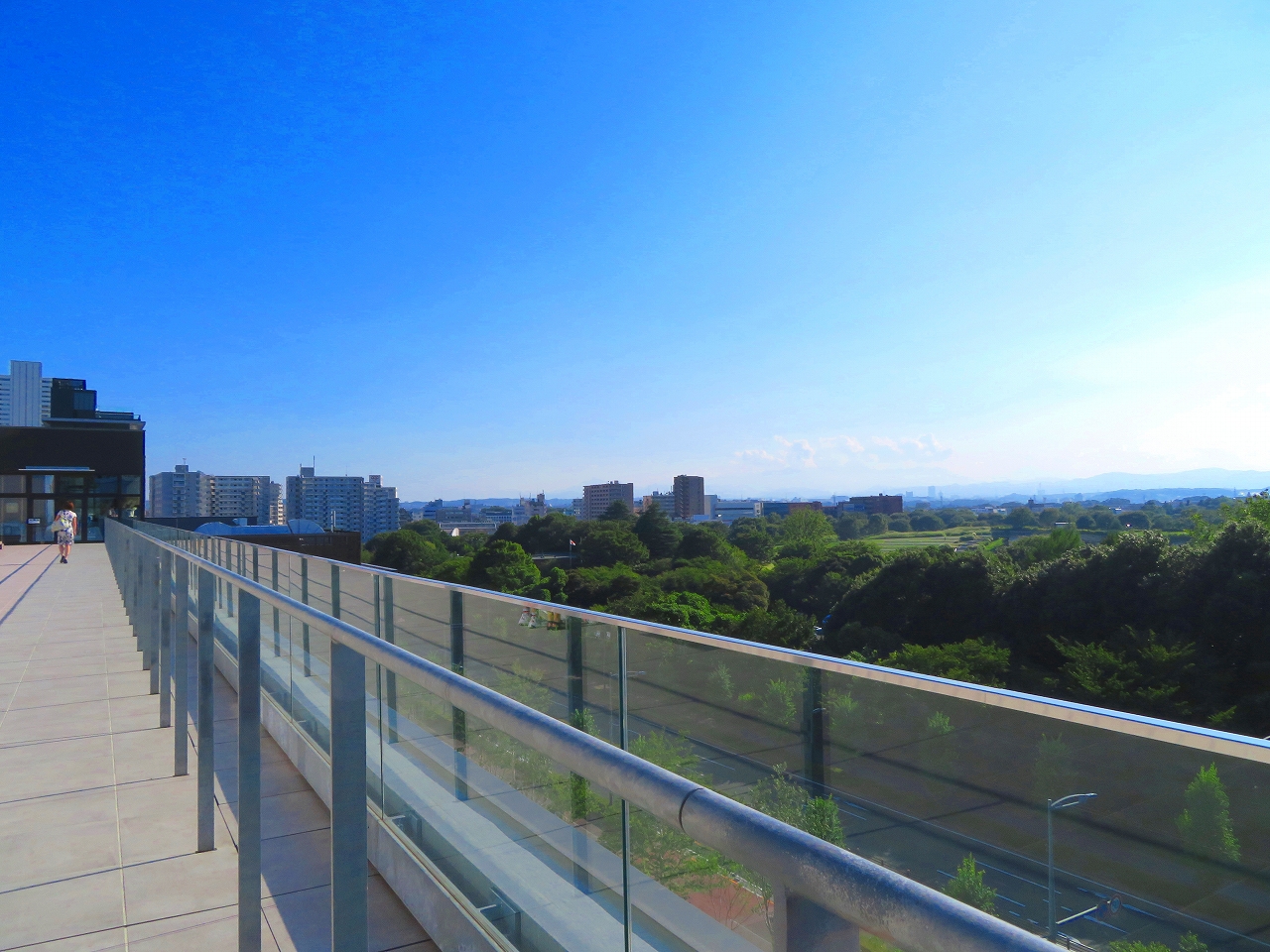 スカイデッキから昭和記念公園。写真奥に見えているのがバーの建物