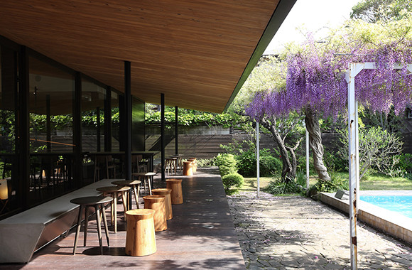 スターバックス鎌倉御成門店は、横山隆一邸の庭を生かしたスタバの代表的な店だ。