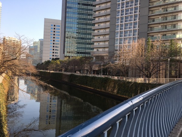 計画地前に流れる目黒川。周囲には高層タワーマンションが立ち並び、川沿いの遊歩道にはファミリーの姿も多く見られる