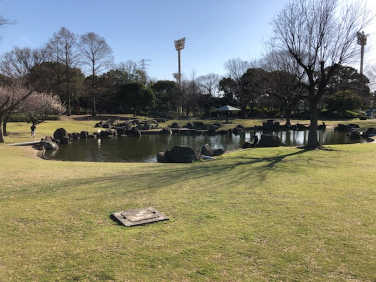 野球場の北側にある池は小田南公園のシンボルの一つ