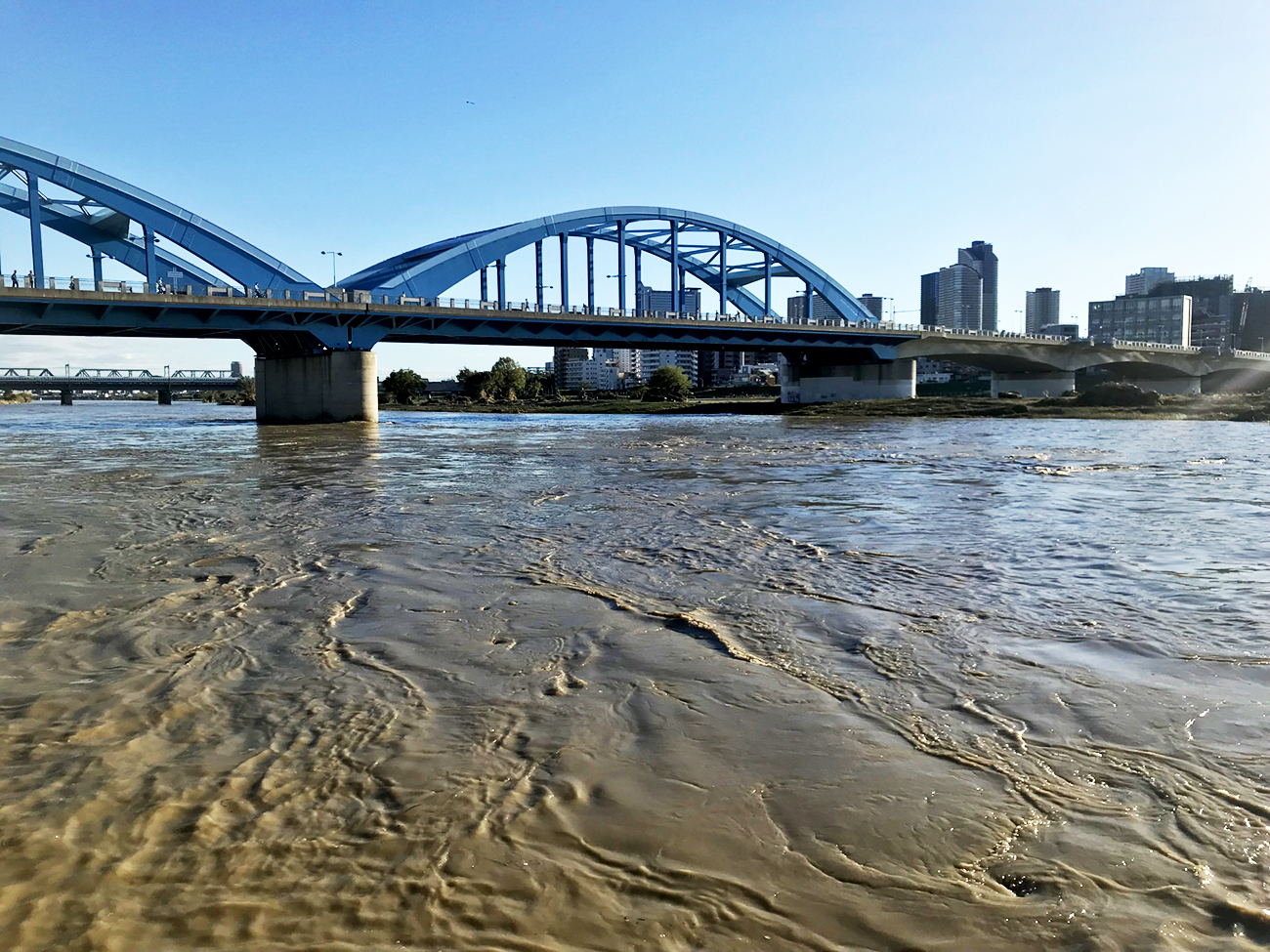 台風の影響で多摩川が氾濫し、タワーマンションが機能不全になった。