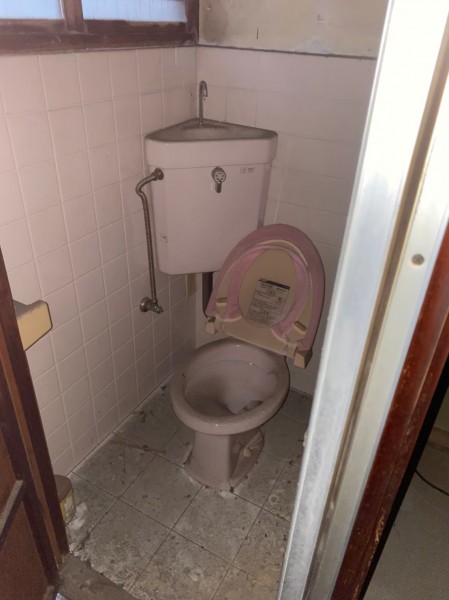 トイレは、和式ではなく洋式トイレだった。