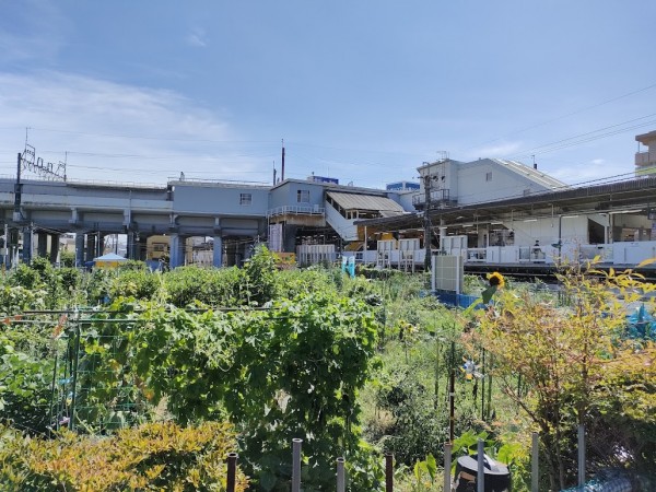 畑と駐輪場が広がる新松戸駅東側地区