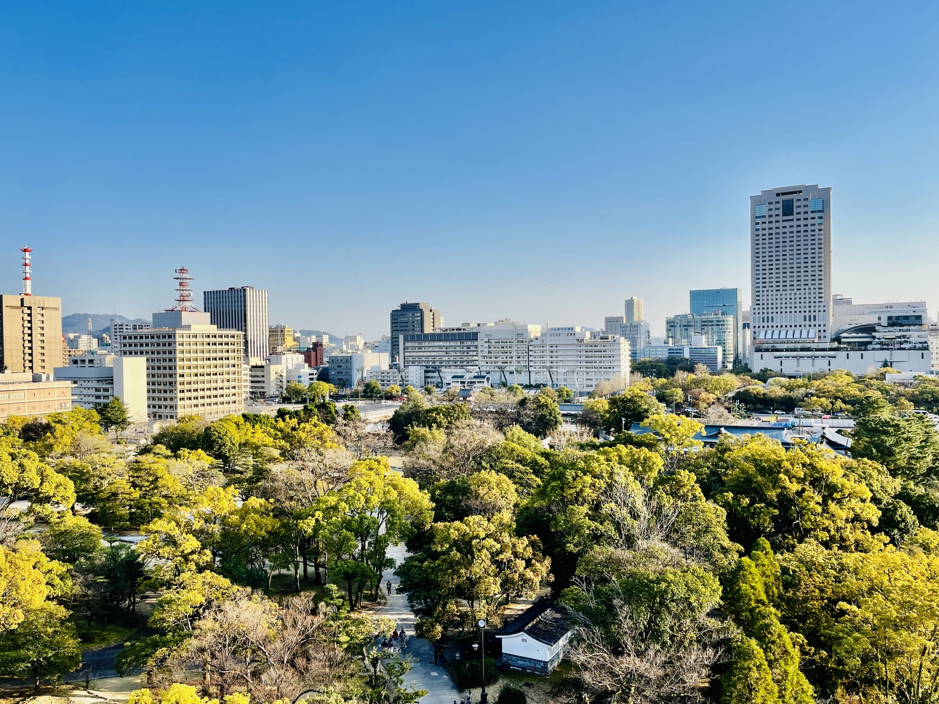 広島城や平和記念公園、縮景園など観光スポットが点在する広島市。2020年の約120万人をピークに人口は微減している。画像は広島城から見たまち並み。