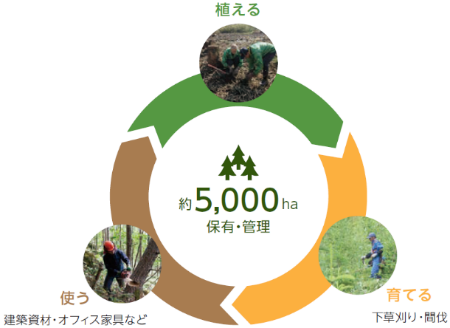 保有林の循環サイクル
