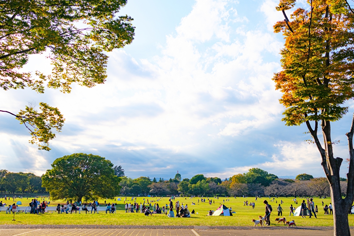 昭和記念公園 秋の様子