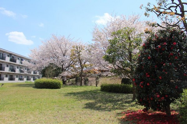 広い敷地の中には桜の木もあり、室内から花見ができる。だが、こんなことはポータルだけでは伝わらない