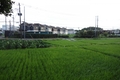 東京の地下暴落が危惧されていた「生産緑地2022年問題」。8割が10年延長を申請。 影響は全体では限定的。アパート経営にどう活かす？_画像