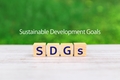 賃貸オーナーや投資家に求められる新たなキーワード。「SDGs」を踏まえた不動産投資を考える