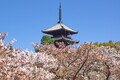 京都市で「空き家新税」条例案可決！空き家流通が進み投資機会に追い風！